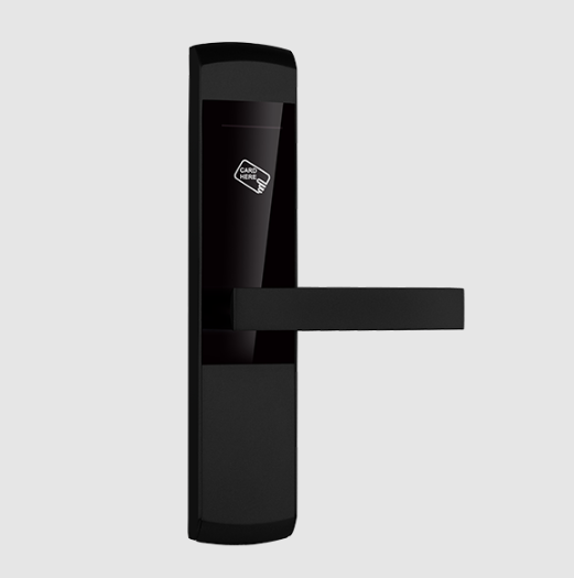 Electronic Entry Door Locks