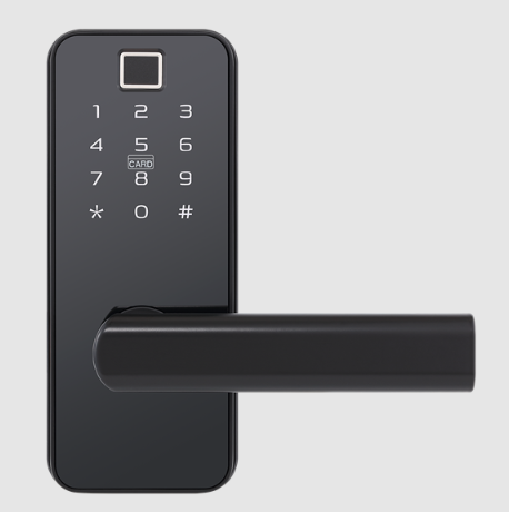 indoor touchpad entry door lock