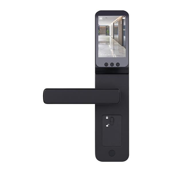 commercial biometric door lock