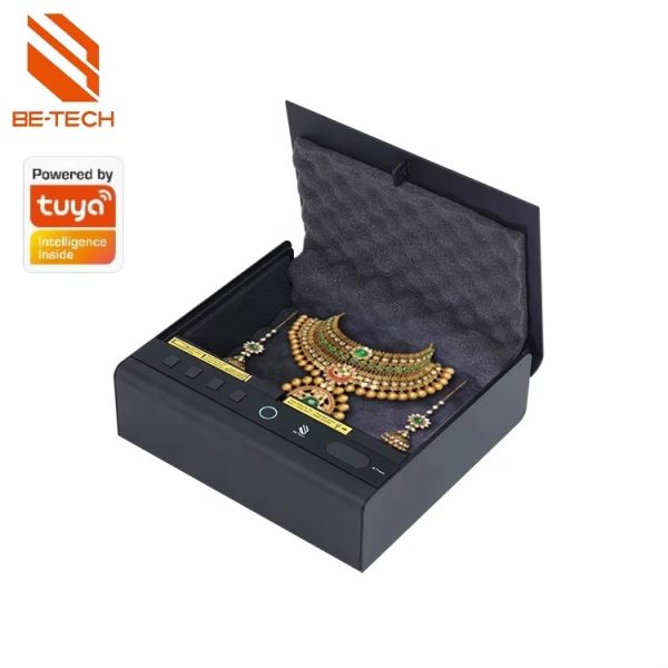 Portable Fingerprint Safe