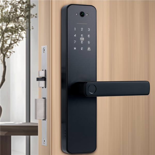 smart biometric fingerprint door lock